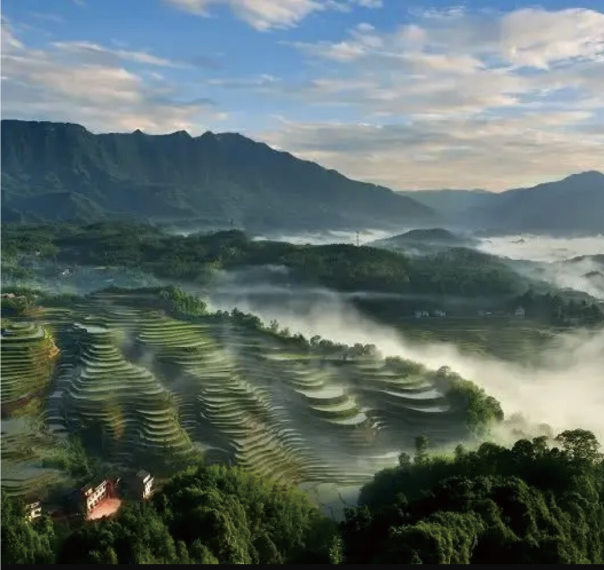 習水縣.jpg